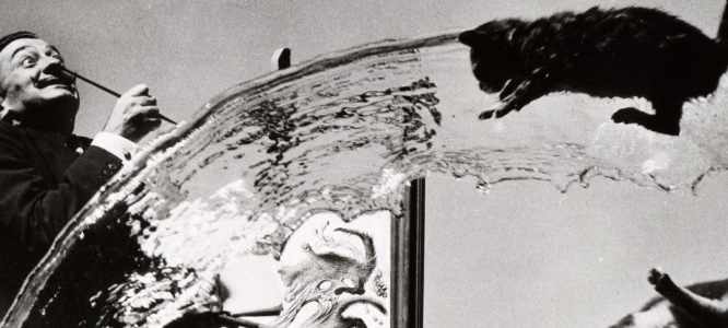 Exhibition - Everything Surreal?!: Photography in the Cosmos of Surrealism